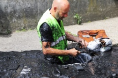 Attentifs Ensemble 87 * 6240 x 4160 * (9.4MB)